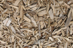 biomass boilers Mountain Ash