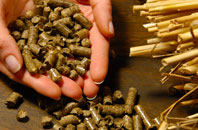 free Mountain Ash biomass boiler quotes