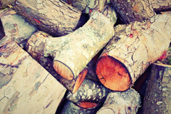 Mountain Ash wood burning boiler costs